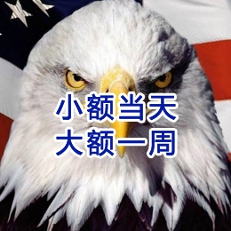 大新要账公司